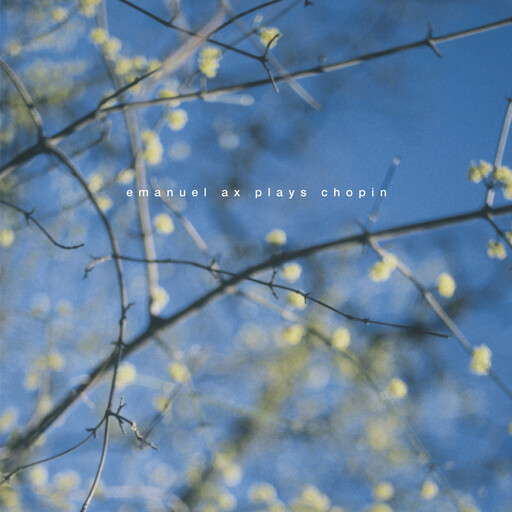 大黑鸡巴操逼片
